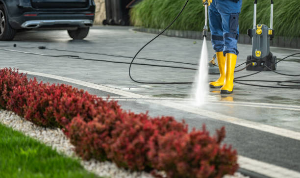 Best Affordable Power Washing  in Mount Hermon, CA